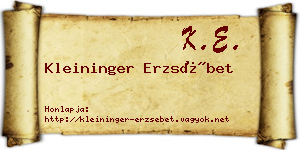 Kleininger Erzsébet névjegykártya